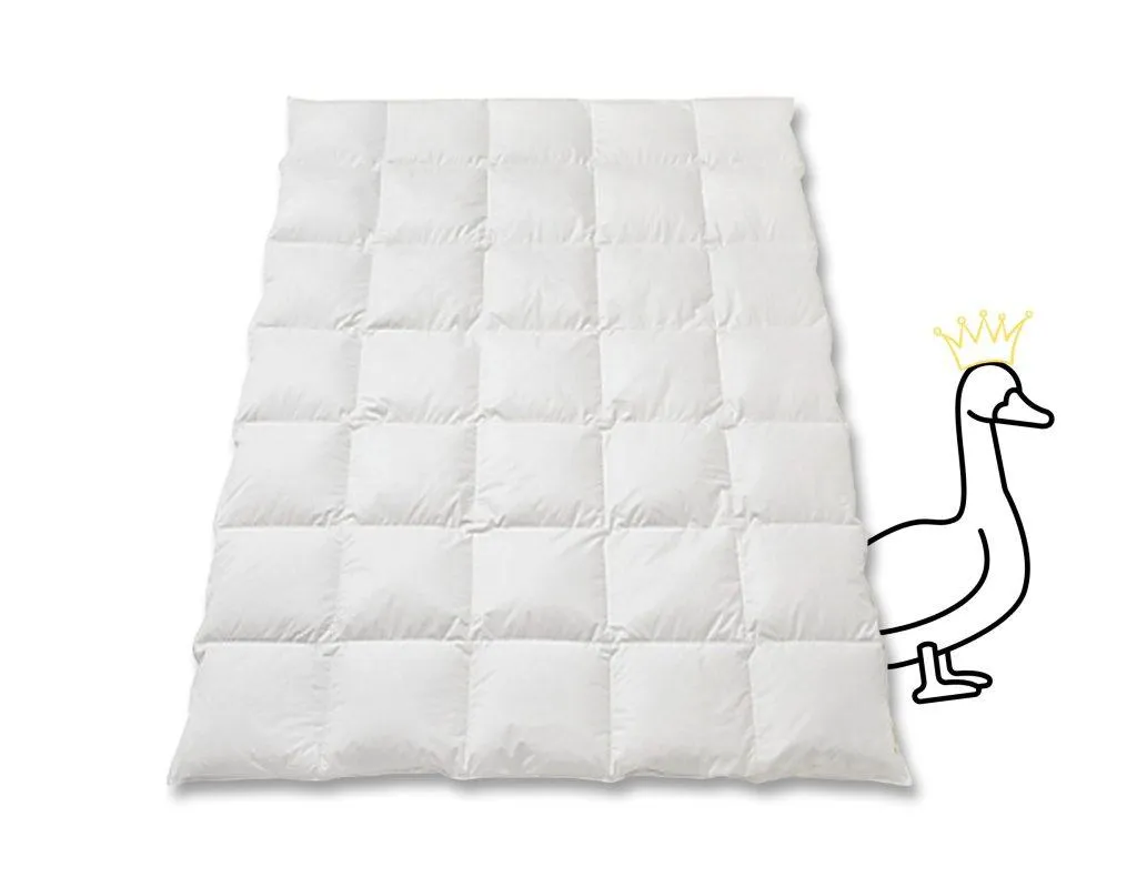 Daunenduvet_Gänsedaunen_Gold_Cassetta