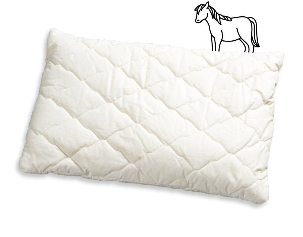 Rosshaarkissen_Rossini